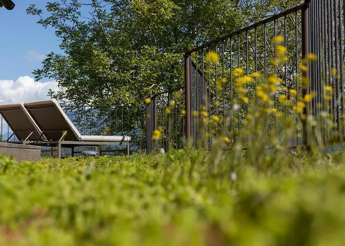 Balthasar Volcano - Adults Only *